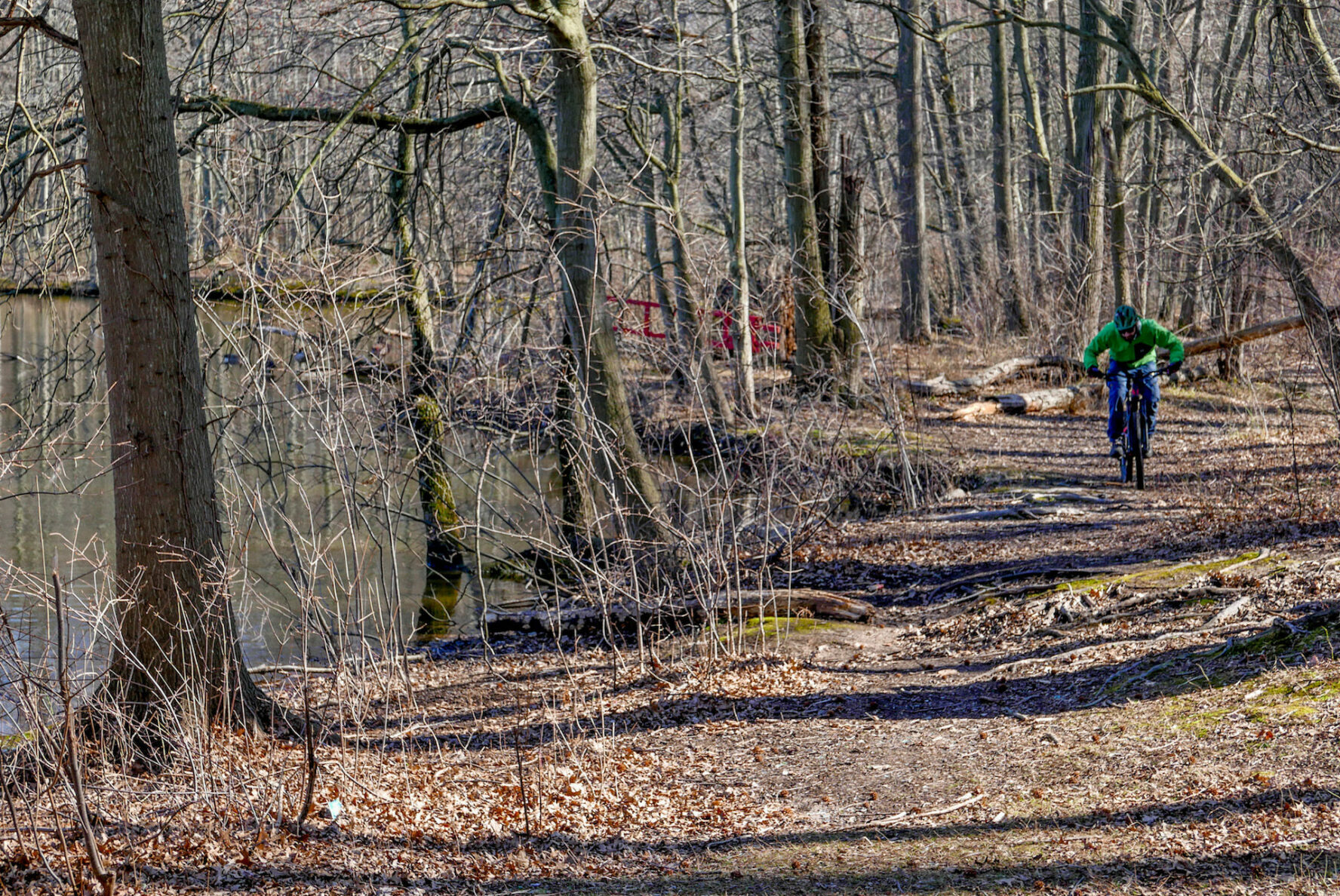 Staten Island MTB trail