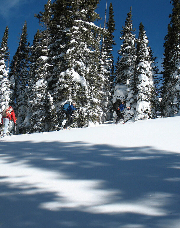 Avalanche road sign Colorado