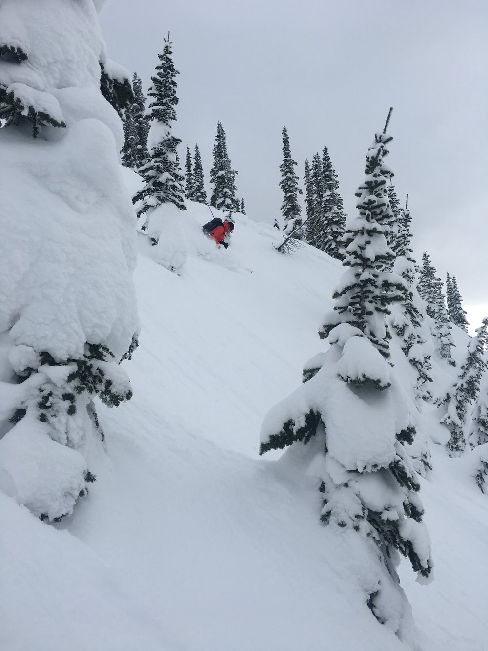 backcountry skiing