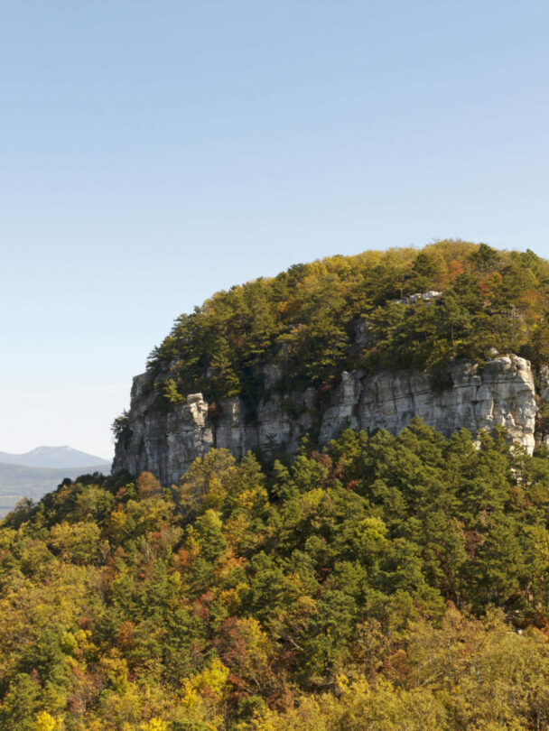 rock climbing at pilot mountain