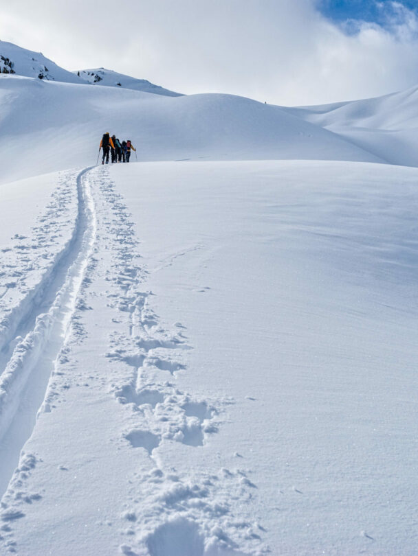 backcountry skiing selkirks