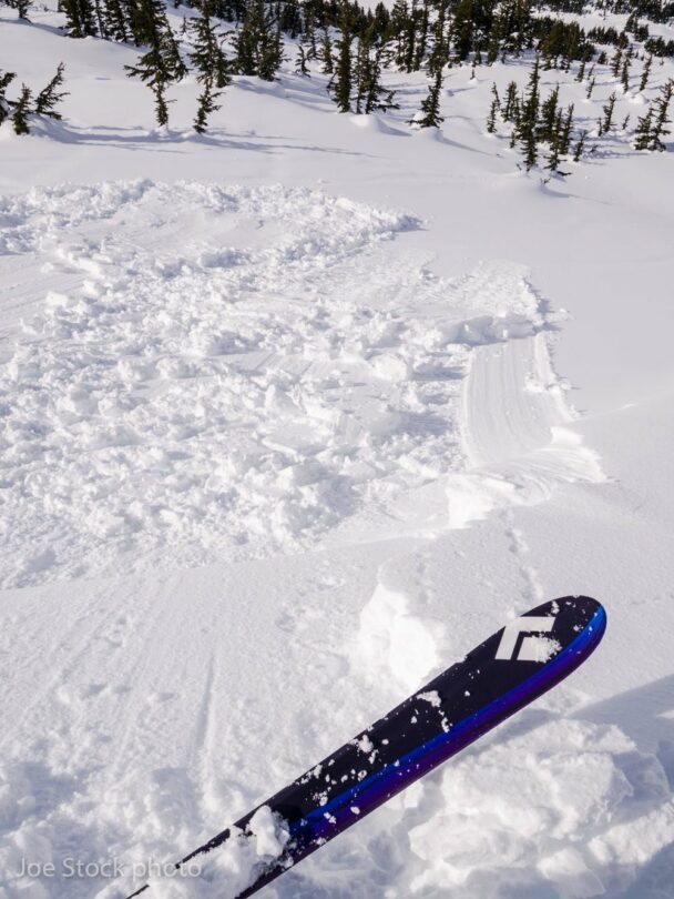 aiaire avalanche rescue