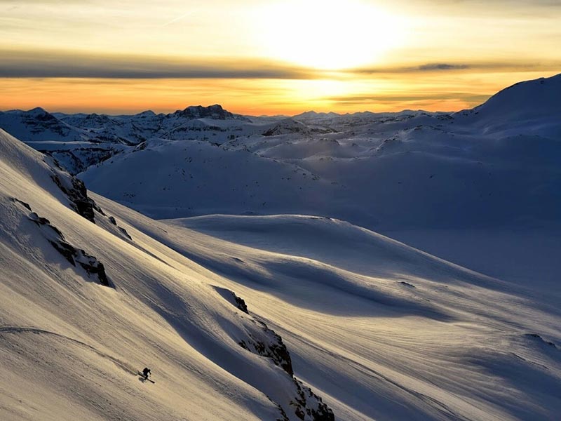 beartooth powder guide skiing