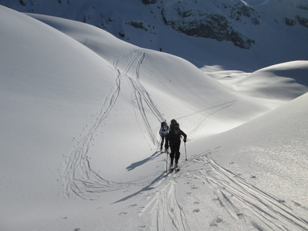 freeride backcountry skiing sella nevea