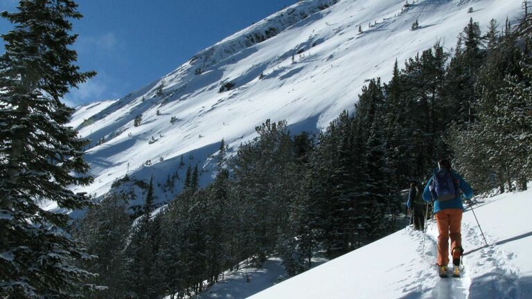 avalanche training course beartooth
