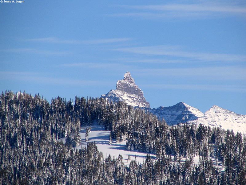beartooth powder guide skiing
