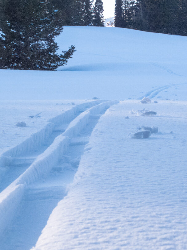 backcountry skiing wasatch