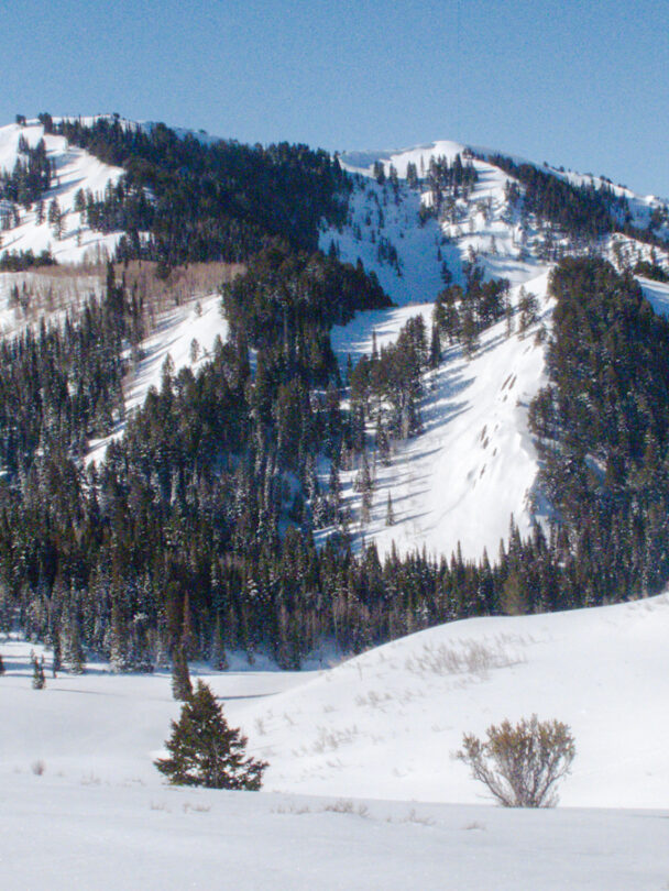 backcountry skiing wasatch