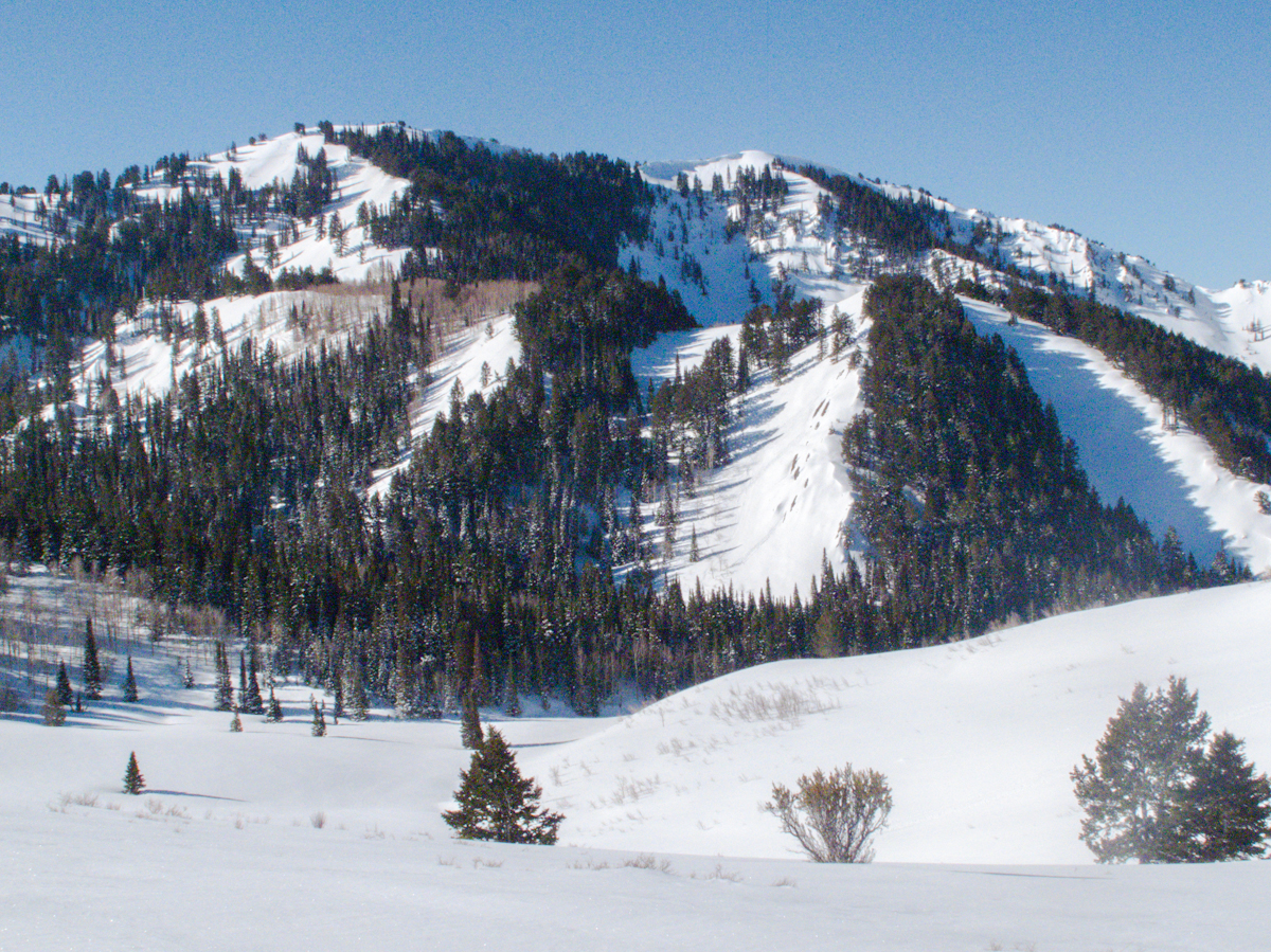 Wasatch Mountains skiing