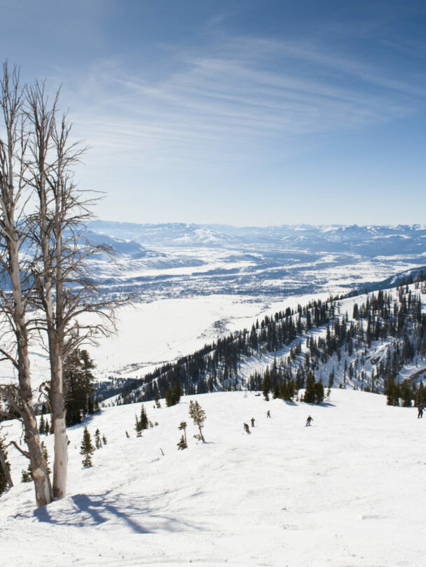 Backcountry Skiing Tours in Big Sky and Yellowstone
