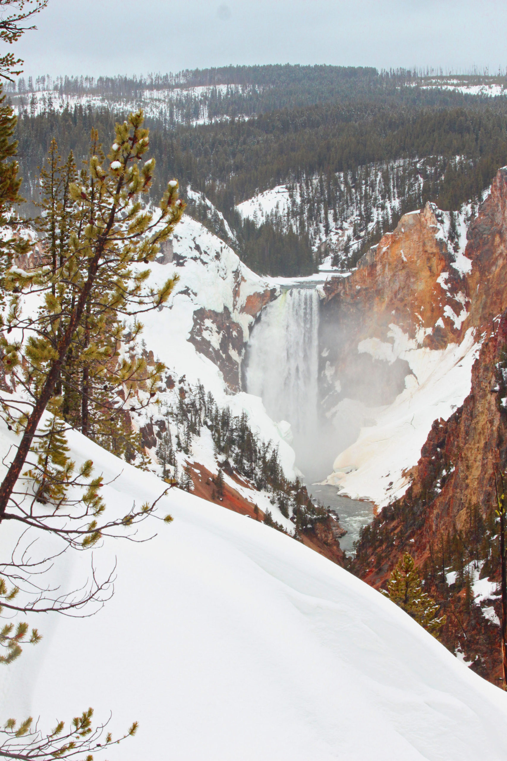 The beauty of Montana