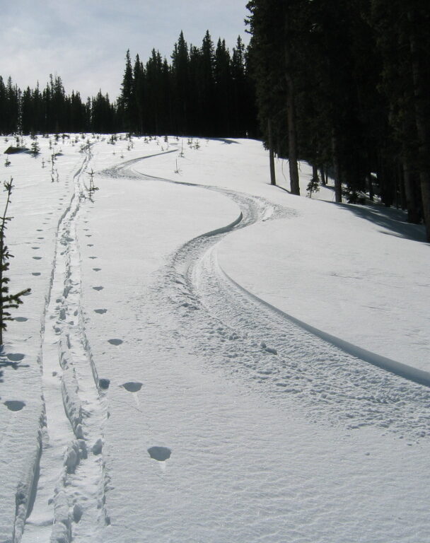 Monarch Pass is a great spot for beginner and intermediate backcountry skiers, with wel-spaced trees and steep bowls.