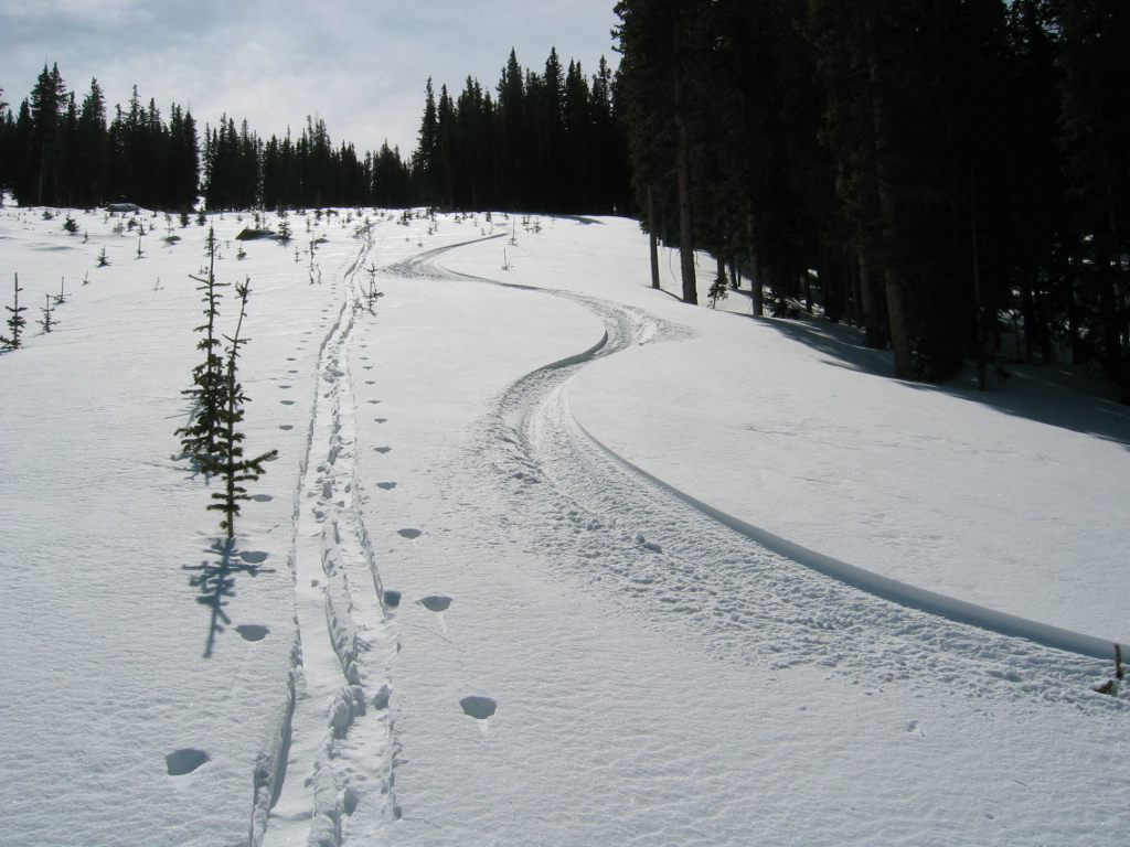 backcountry skiing in monarch pass colorado