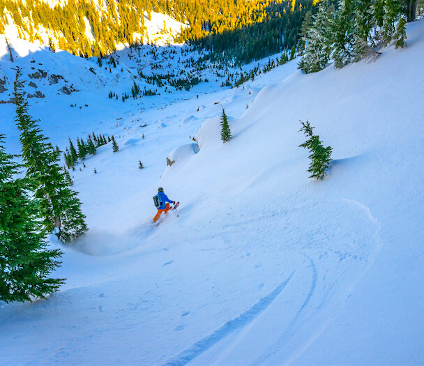 A skier skinning up a snow covered slope at sunrise in the Sierra Nevada near Lake Tahoe, California.
