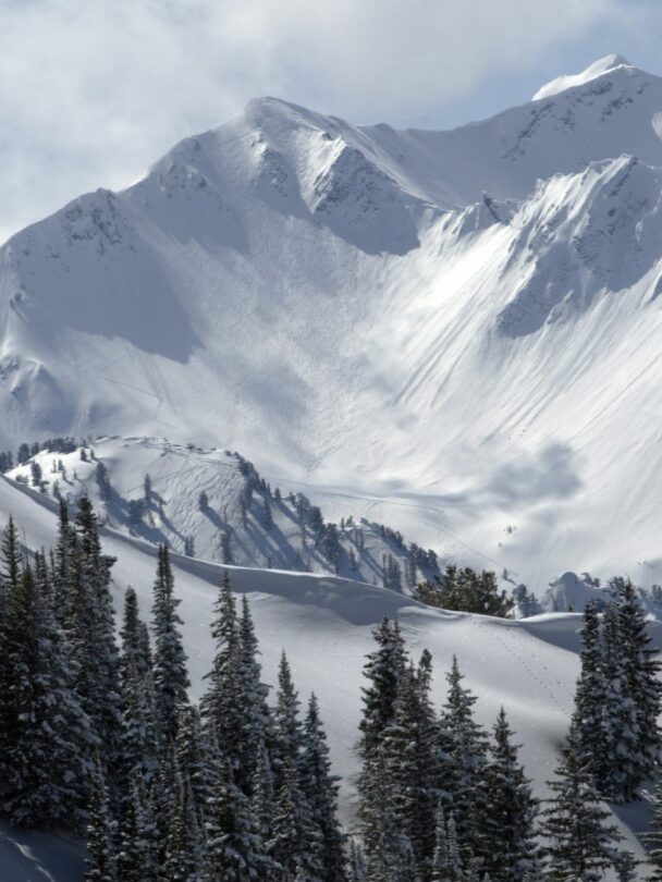 Guided Backcountry Skiing in Wasatch