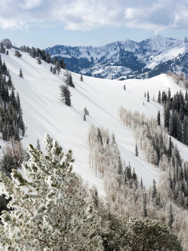 Guided Backcountry Skiing in Wasatch