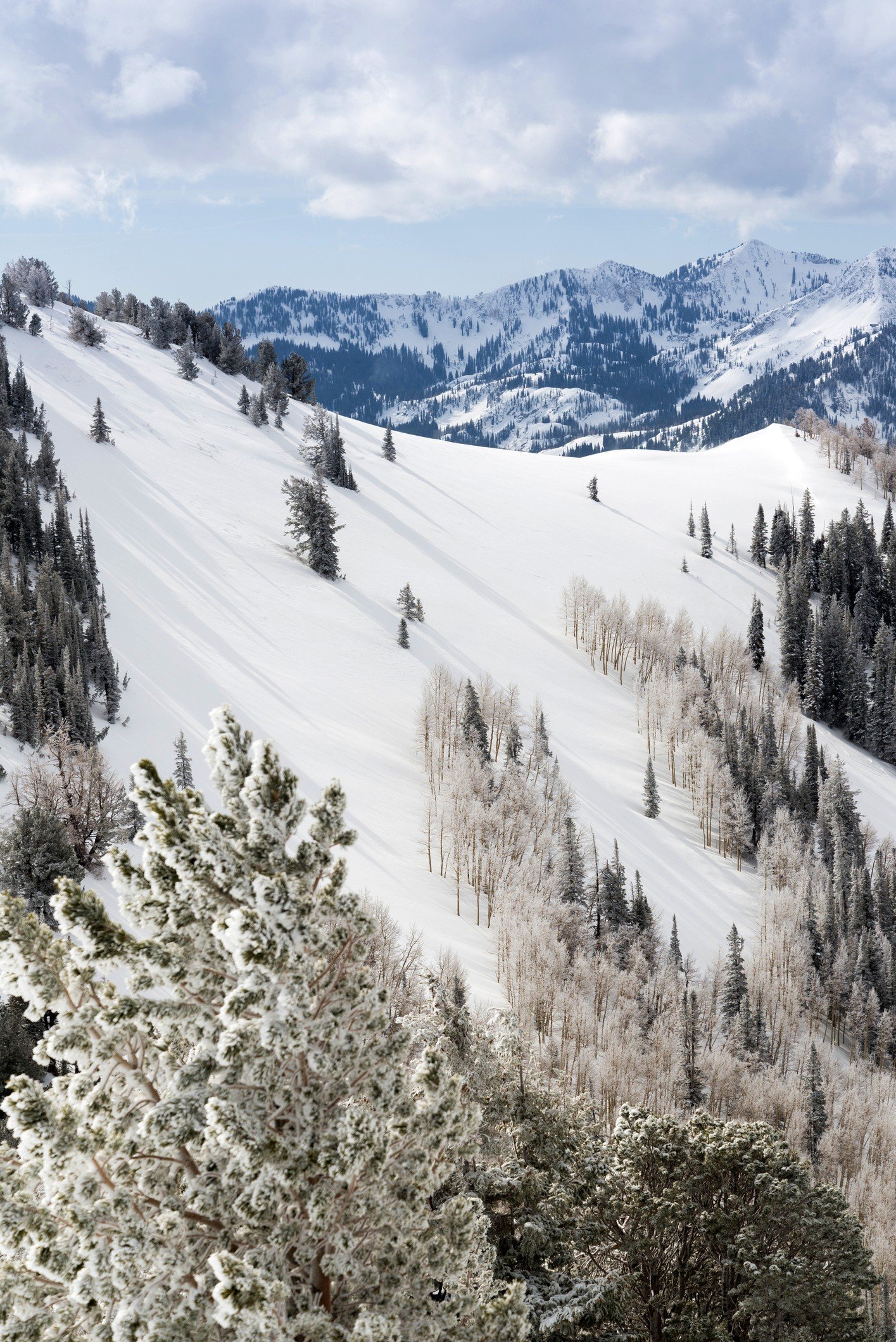Wasatch Mountains backcountry