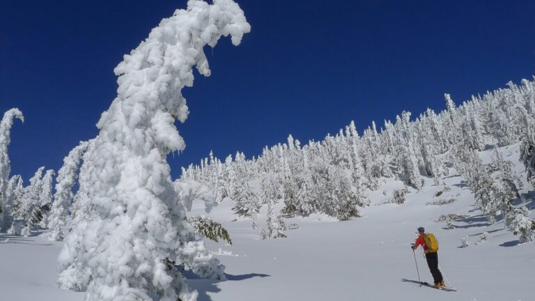mammoth-backcountry-skiing