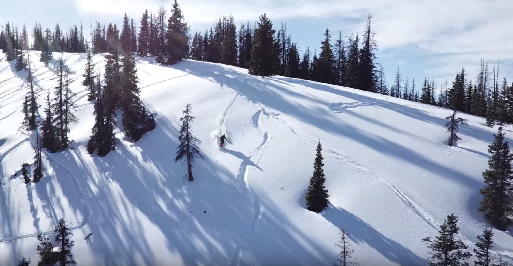 A skier on a treeline run inn Monarch Pass’ backcountry.