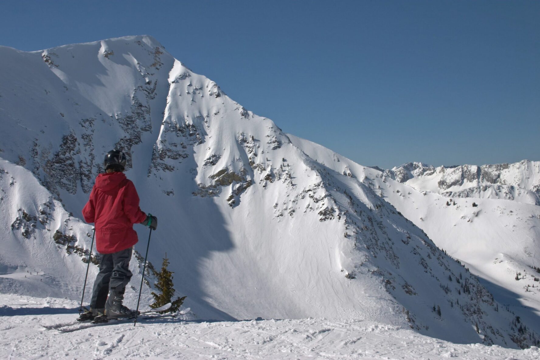 wasatch backcountry skiing