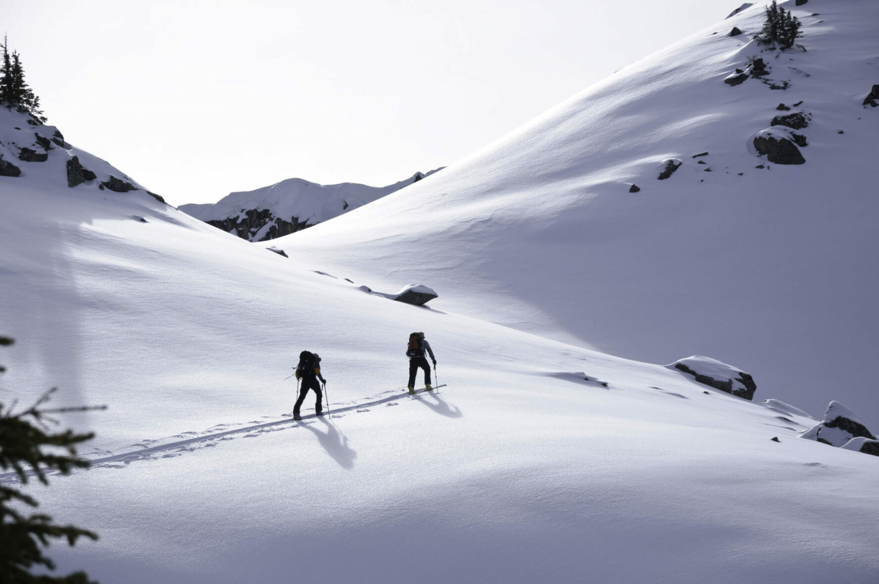 Backcountry skiers earning turns