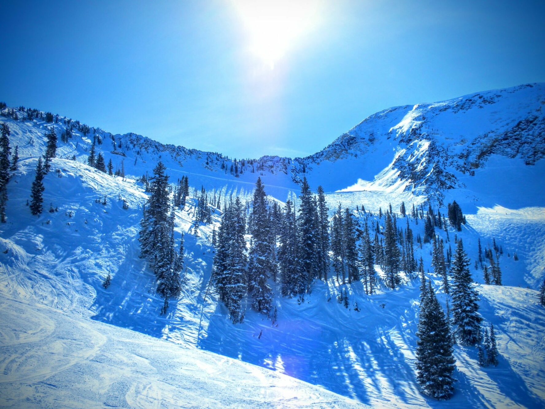 Skiable wasatch mountain powder