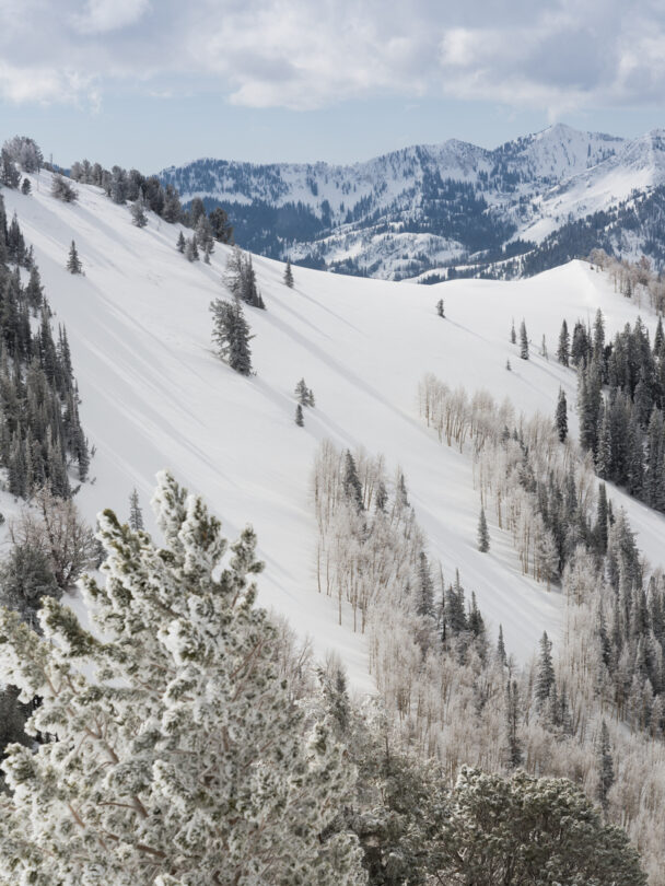 Wasatch backcountry skiing