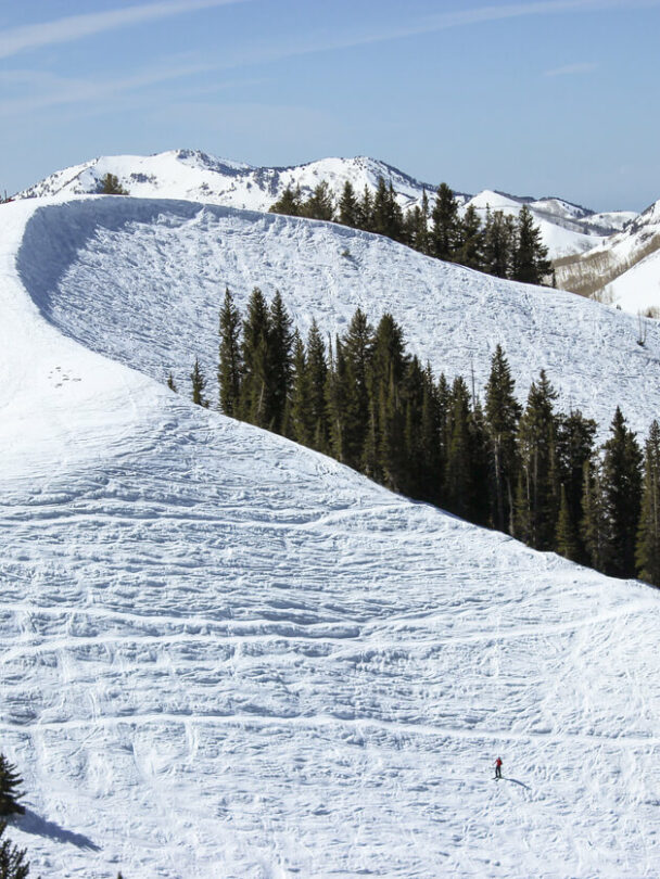 Wasatch backcountry skiing