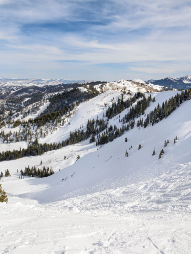 Wasatch backcountry skiing