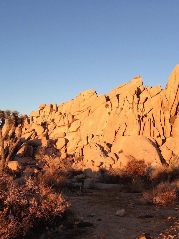 Joshua Tree rock climbing