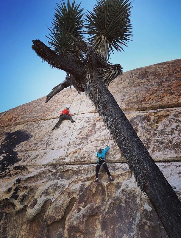Joshua Tree rock climbing