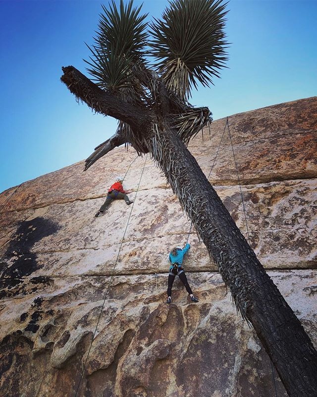 Climbing Rocks at Joshua Tree