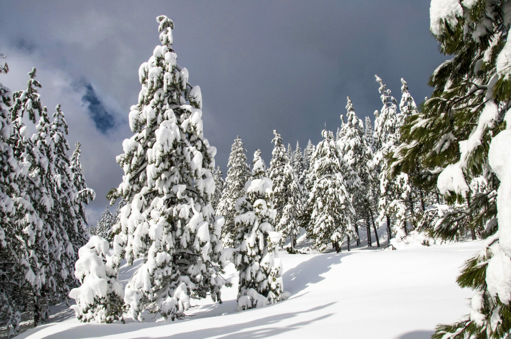 Stunning scenery and over 7000ft of snowy descents await on Mount Shasta