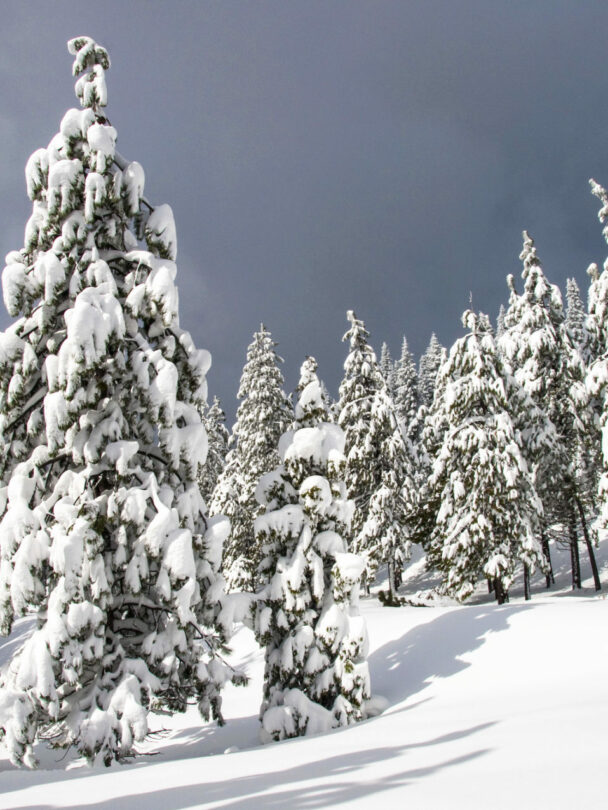 Backcountry Skiing Mount Shasta with a Guide