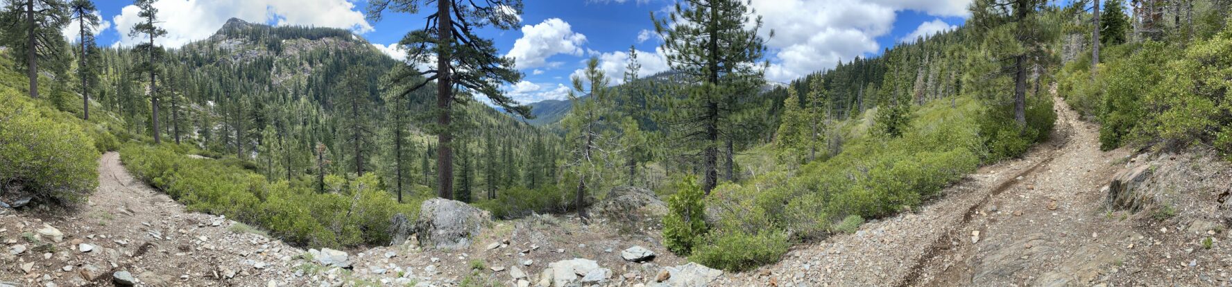 Downieville MTB