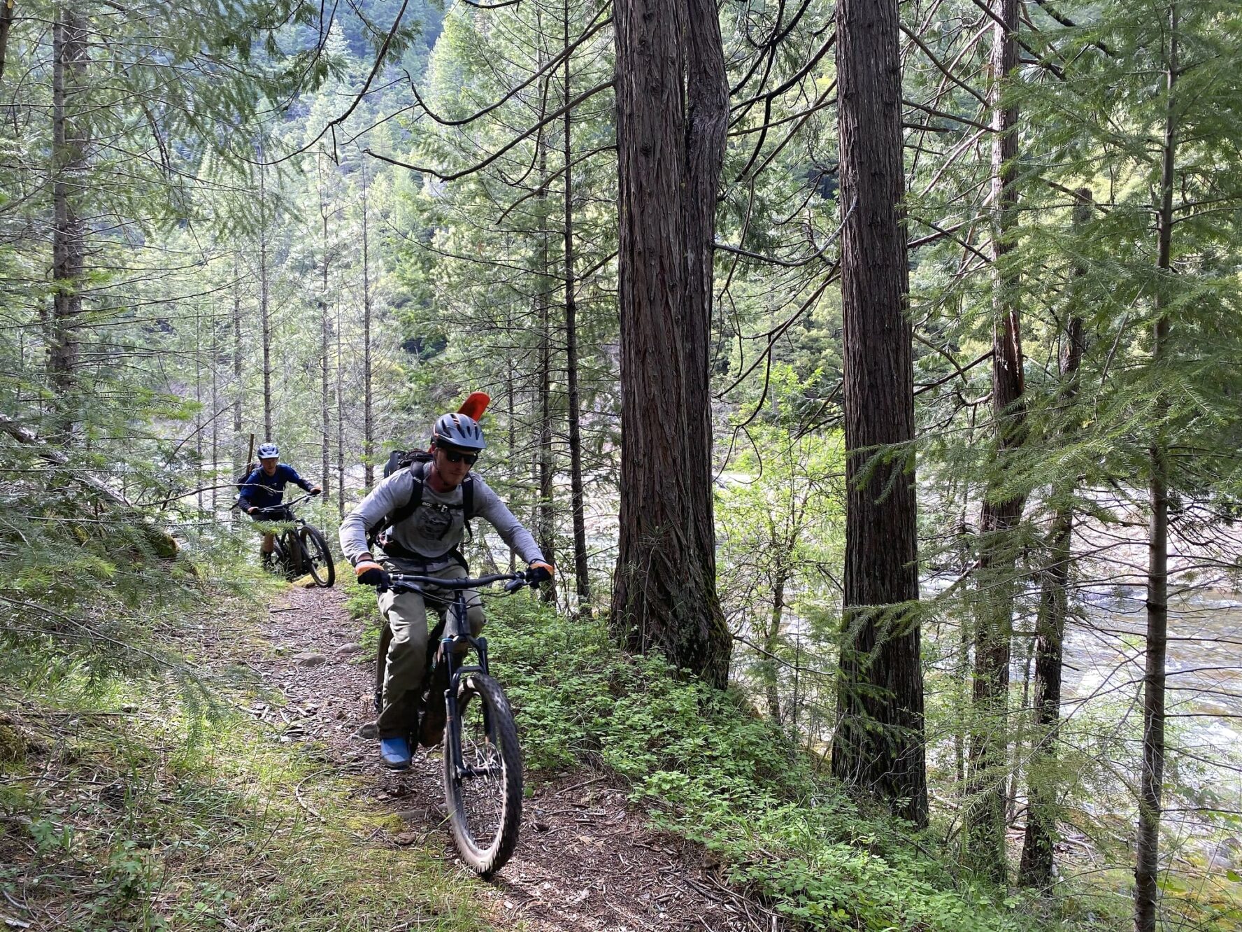 Downieville MTB