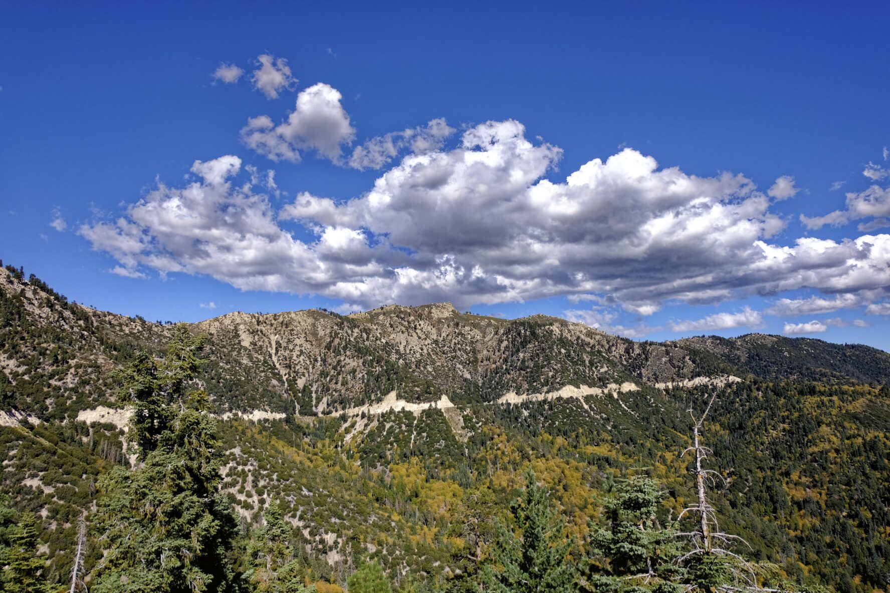 big bear lake MTB