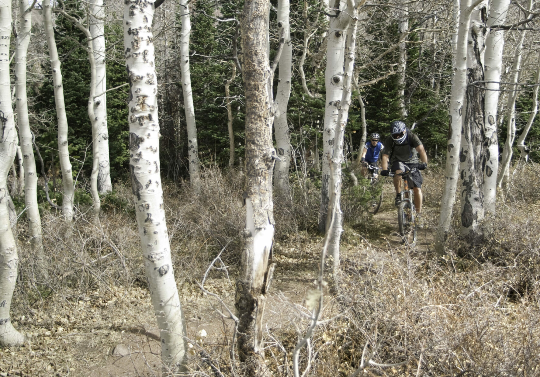 The Whole Enchilada mountain biking trails