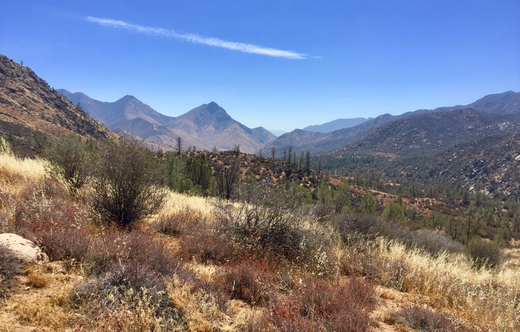 kernville MTB