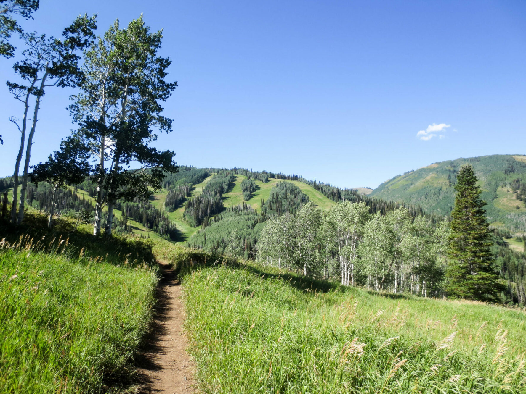 Singletrack in Park City