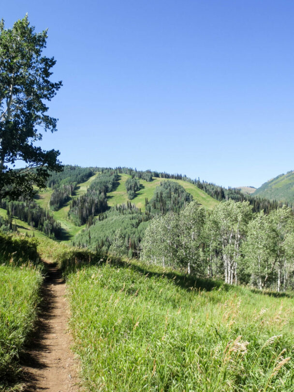 mountain biking in park city