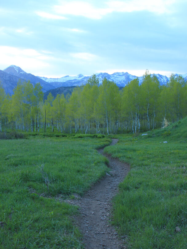 mountain biking in park city