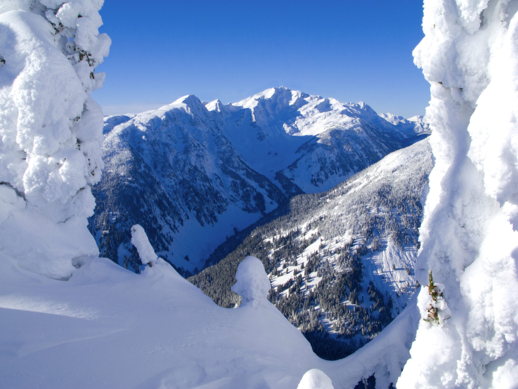 RMNP hides some of the best backcountry slopes in Colorado.