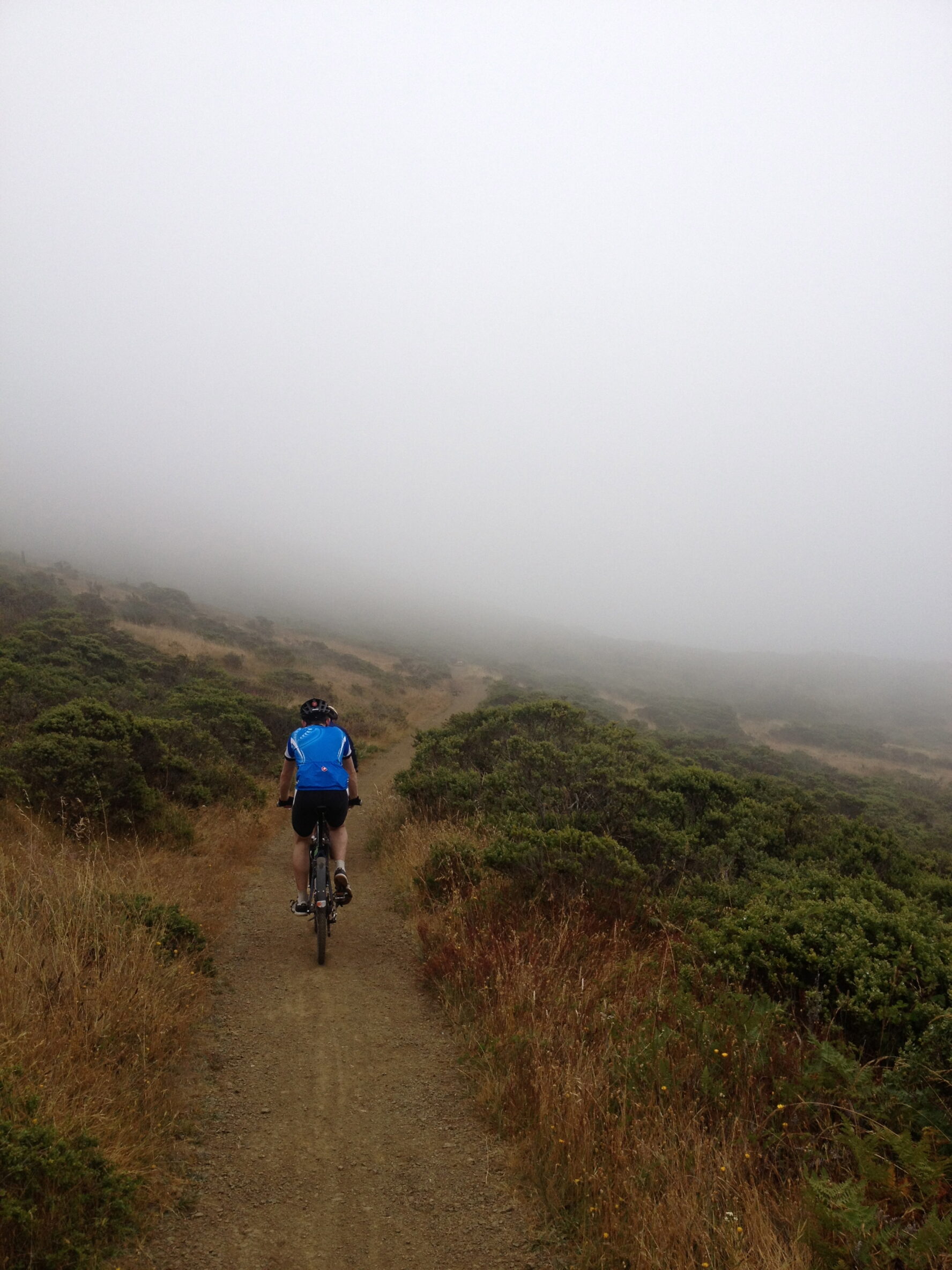 san francisco MTB