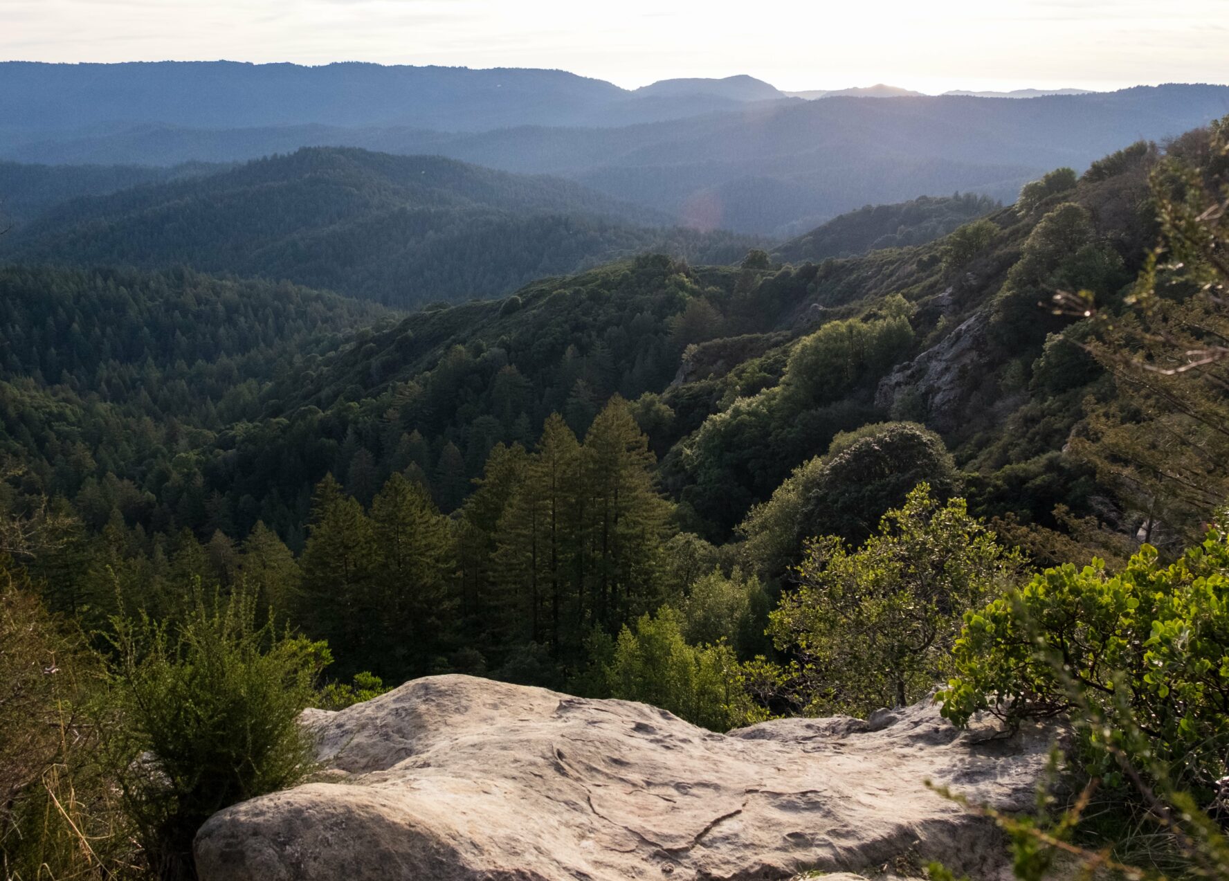santa cruz MTB