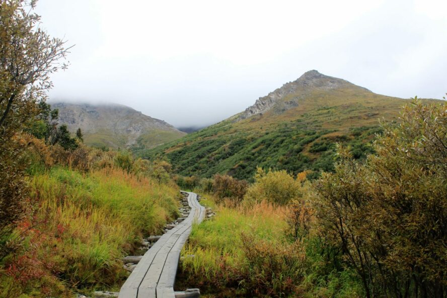 denali national park hiking