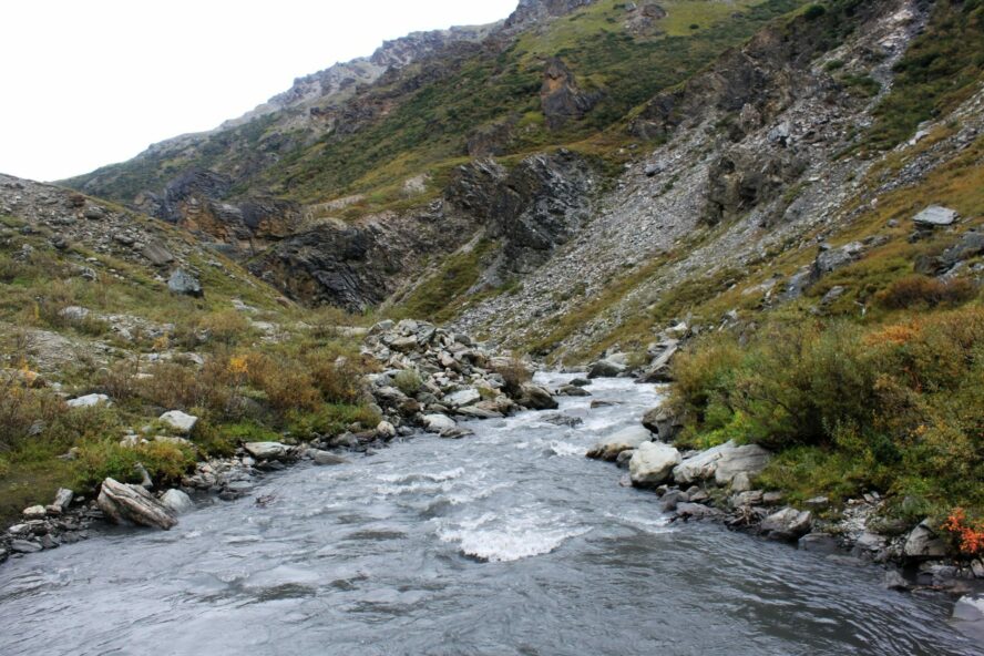 Savage River Alaska Hiking
