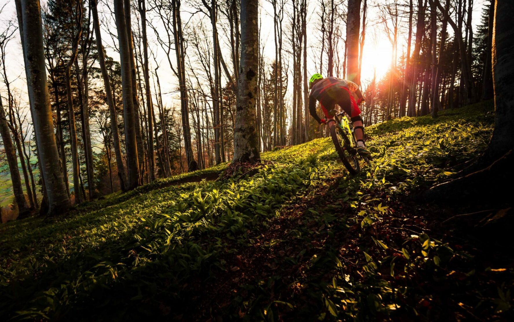 Mountain biker in a mountain