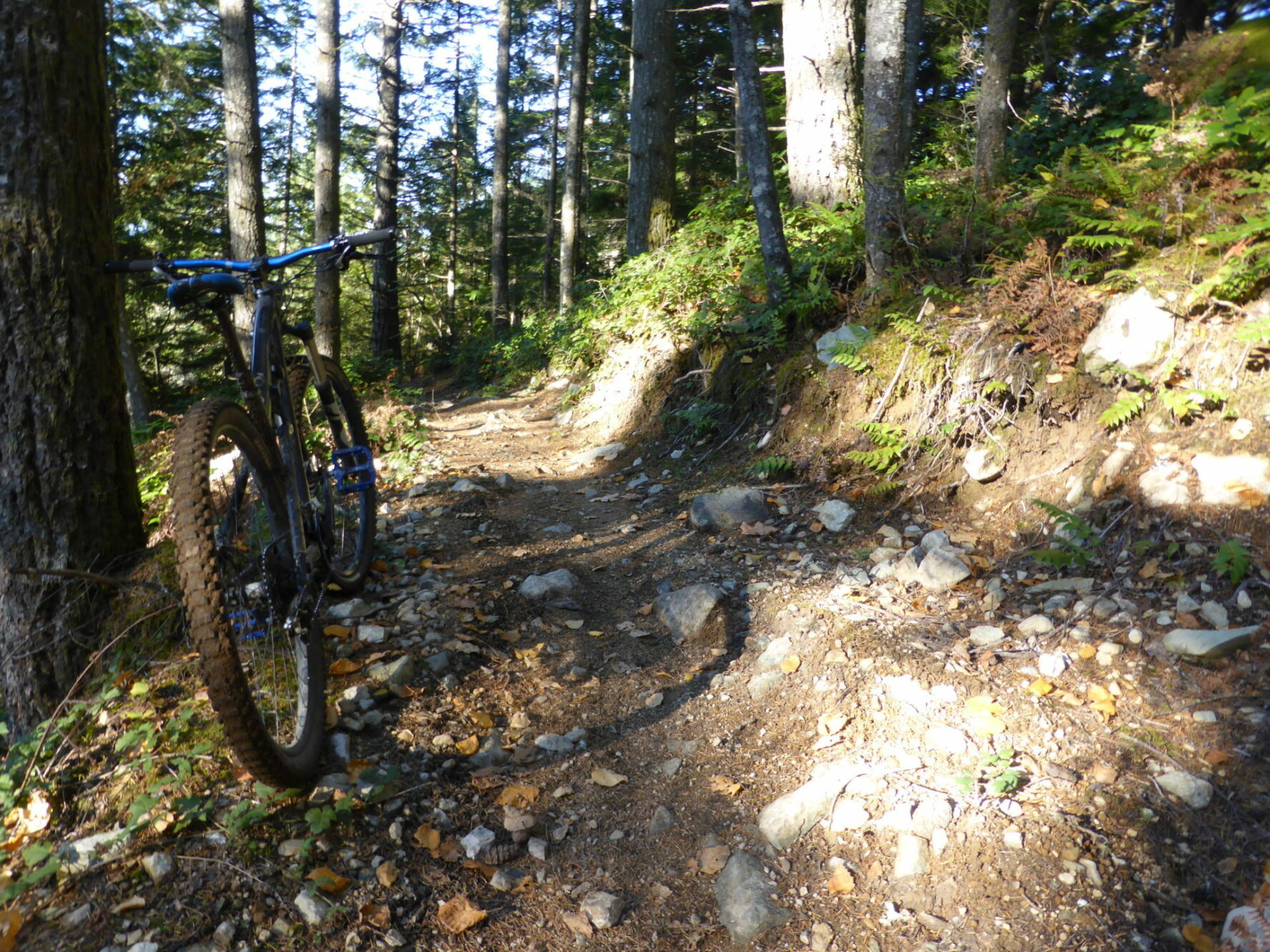 Bike on mountain path