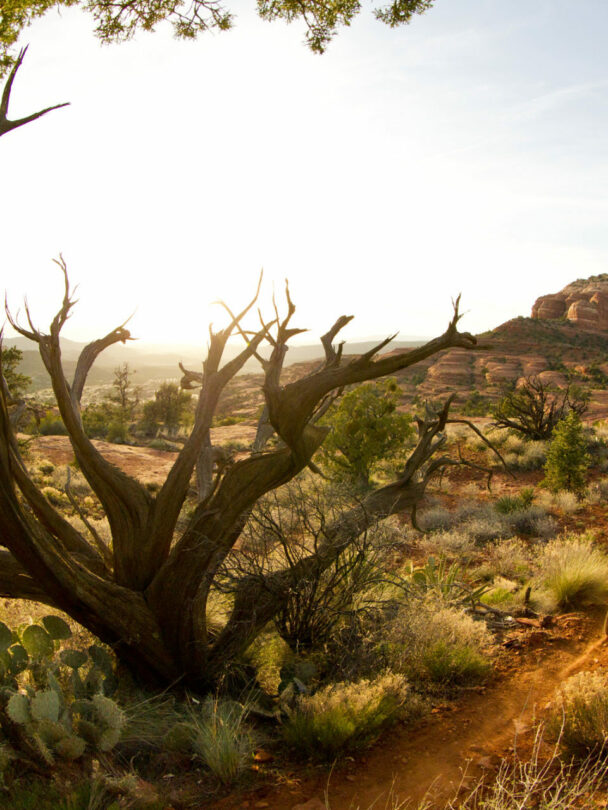 Sedona sunset and singletrack